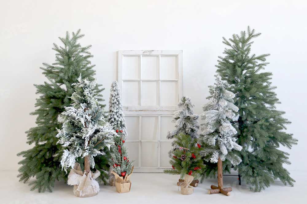 Kate Weihnachten Winter Hintergrund Bäume Weiß für Fotografie