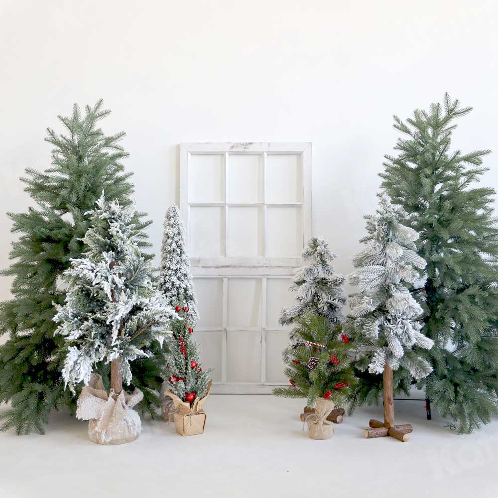 Kate Weihnachten Winter Hintergrund Bäume Weiß für Fotografie