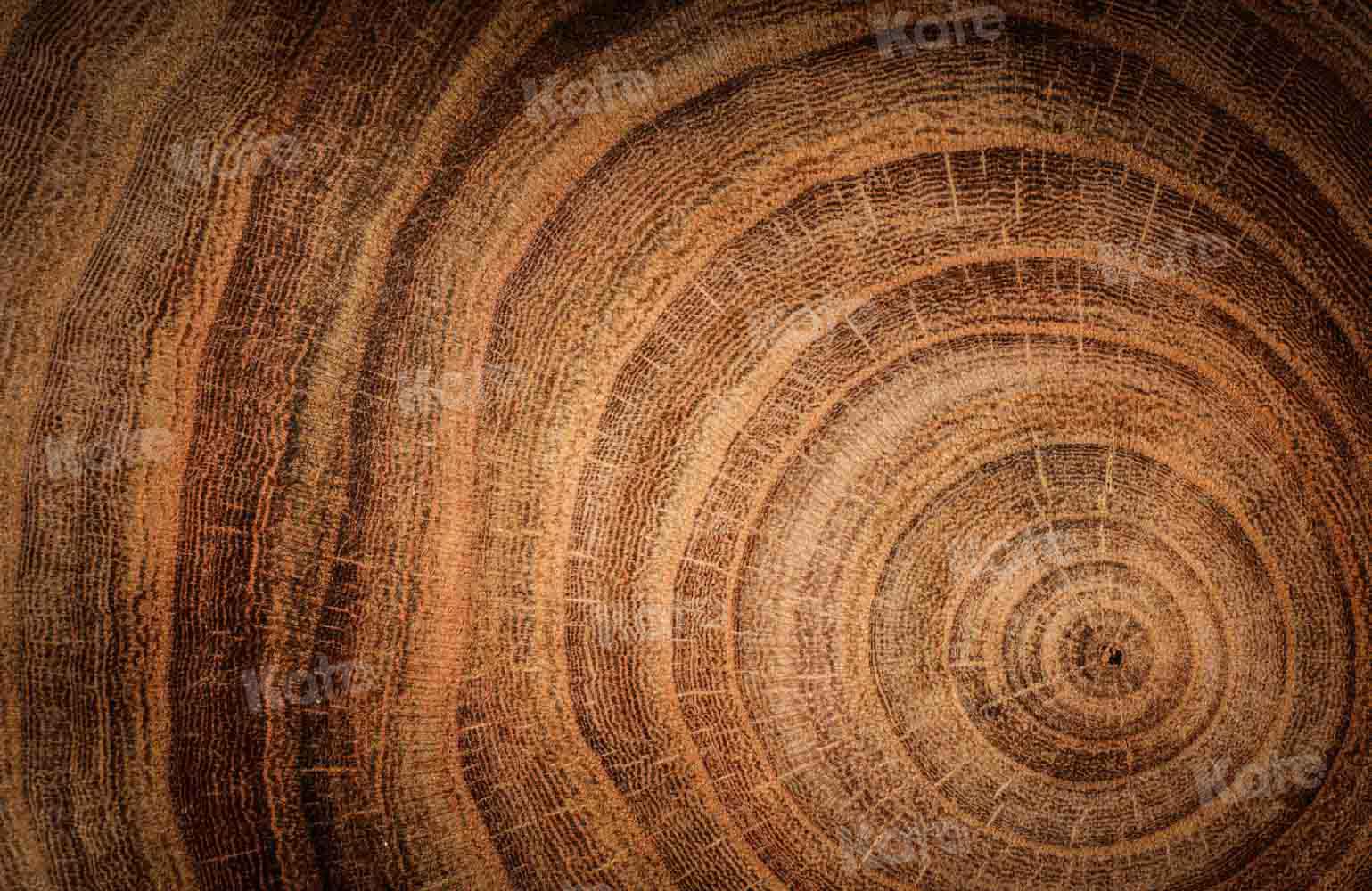 Kate Fine Art Hintergrund braun Holz von Kate