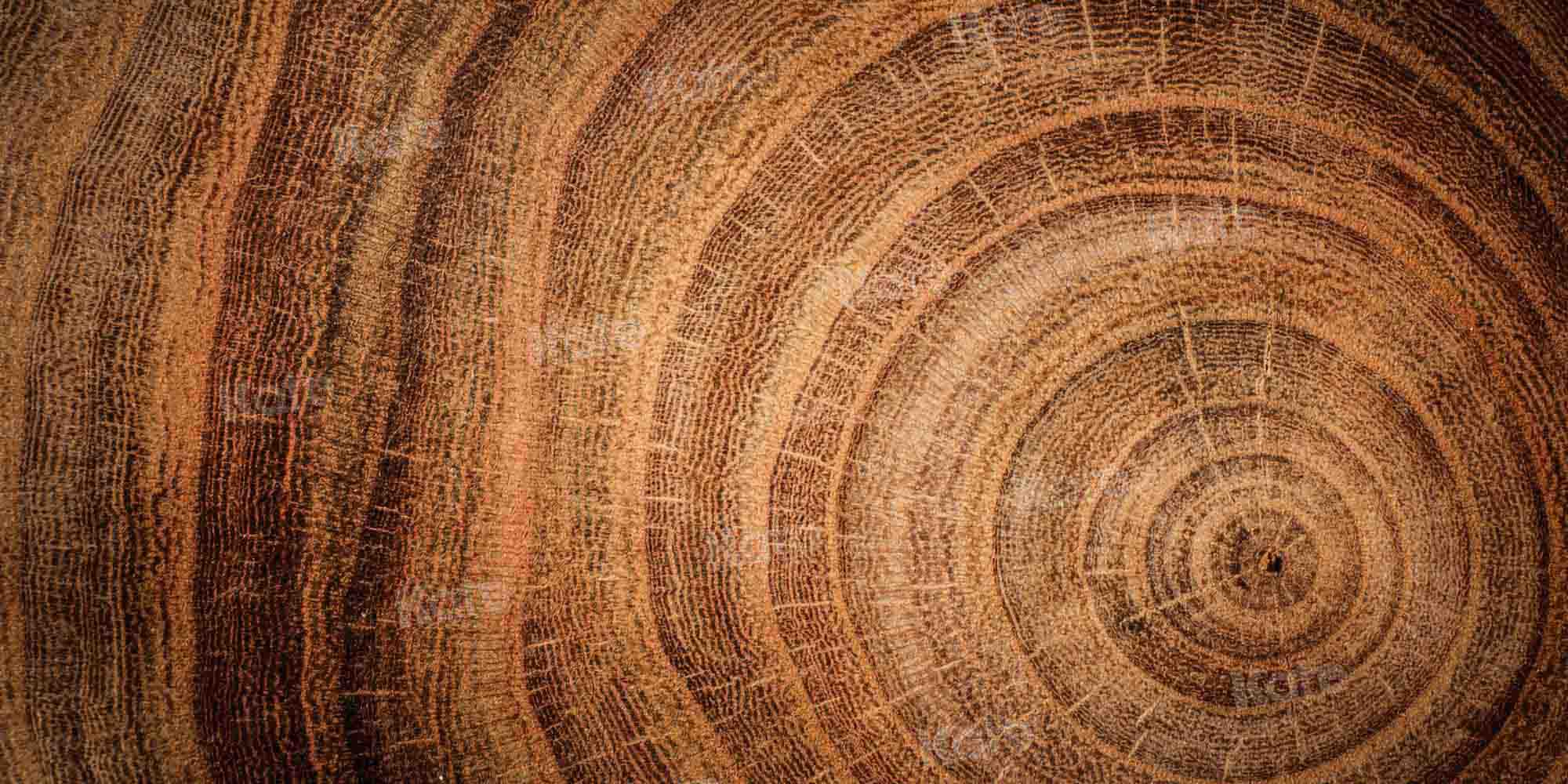 Kate Fine Art Hintergrund braun Holz von Kate