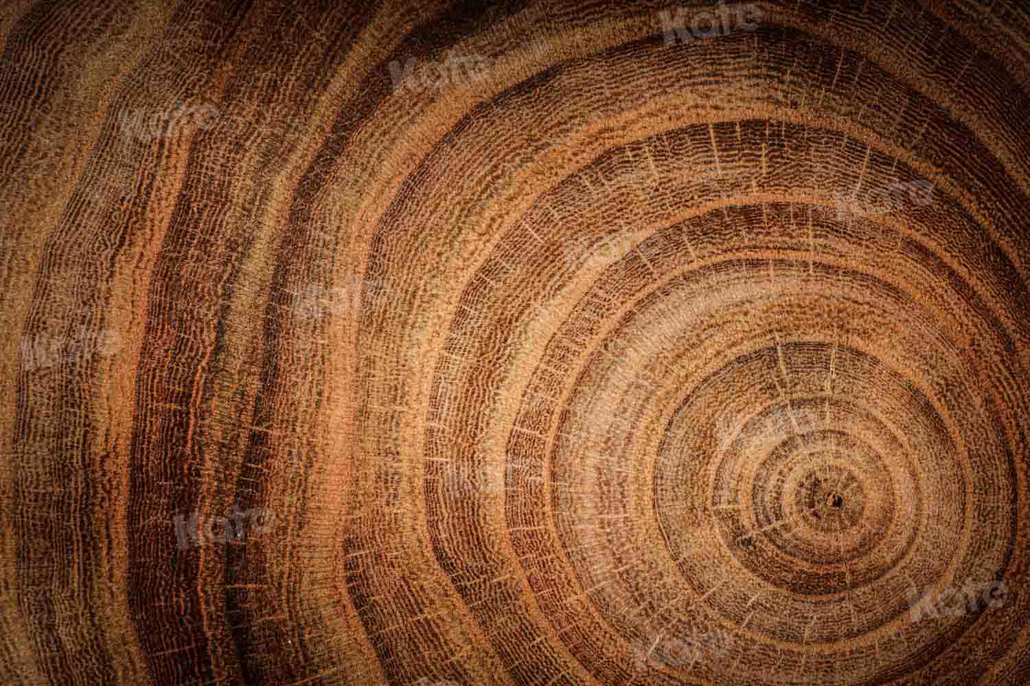 Kate Fine Art Hintergrund braun Holz von Kate