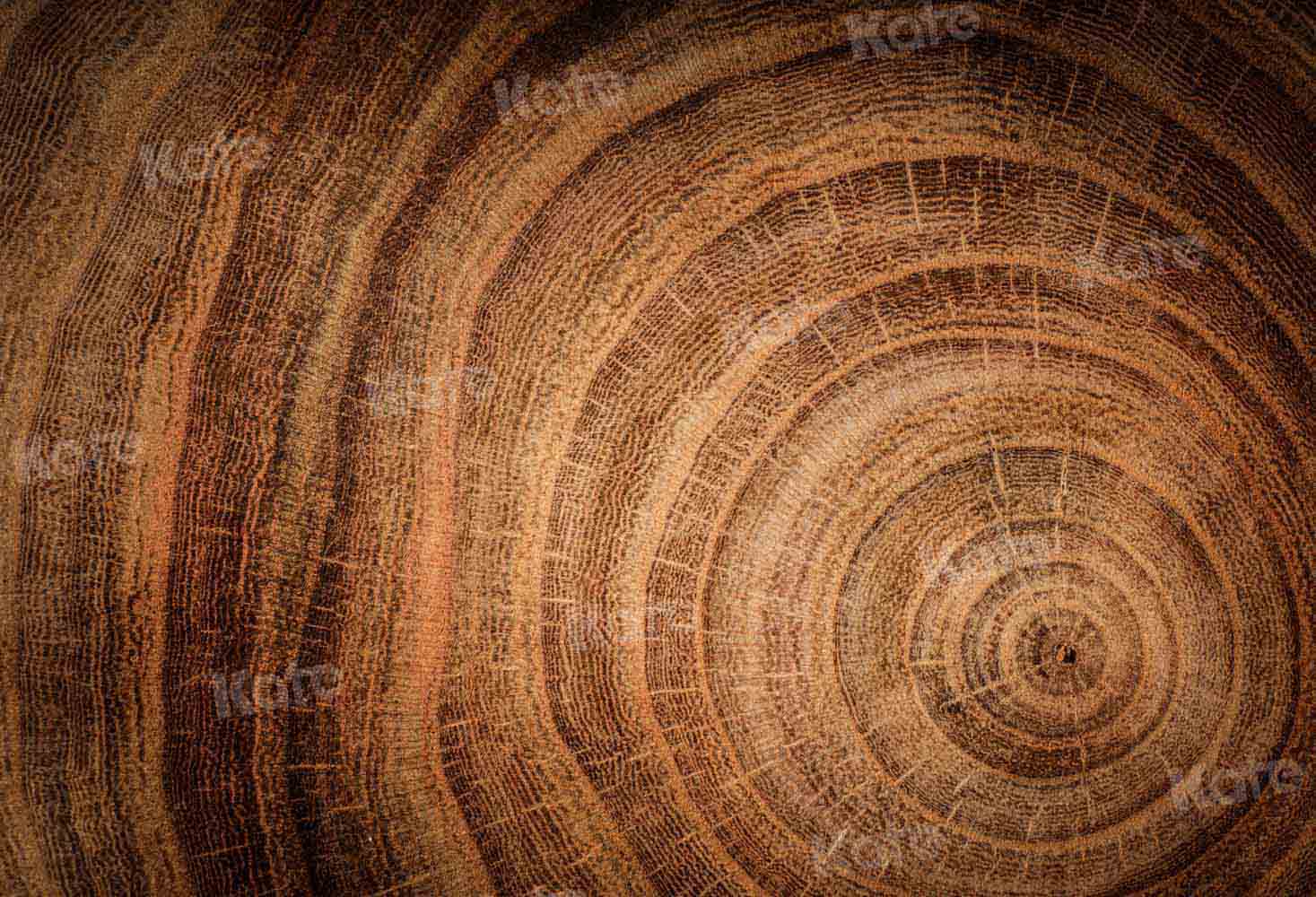 Kate Fine Art Hintergrund braun Holz von Kate