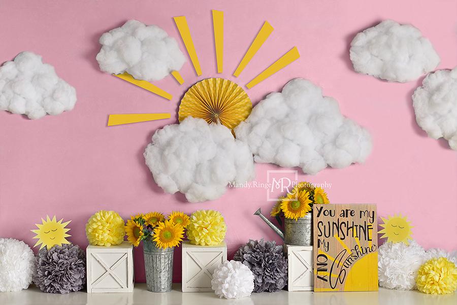 Kate  Sonnenschein Wolken Geburtstag rosa Hintergrund von Mandy Ringe Photography - Kate Backdrop.de