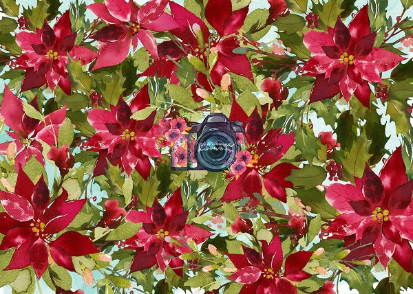 Roter Poinsettias-Blumenhintergrund