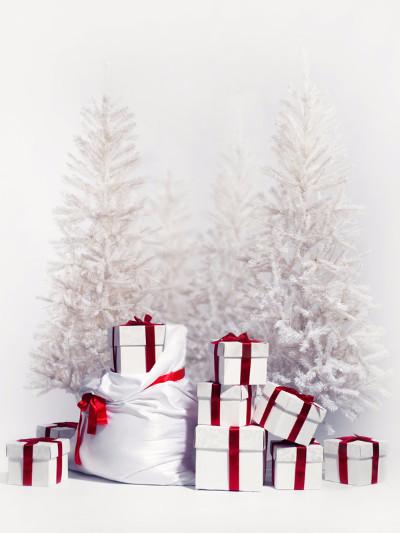 Katebackdrop：Kate Christmas Gift And Snow Tree Backdrops