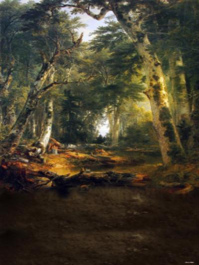 Katebackdrop：Kate Forest Old Green Trees Scenery Photography Backdrops for Christmas