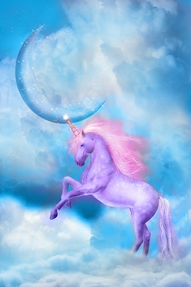 Katebackdrop：Kate Purple unicorn in blue sky with clouds Birthday Baby Shower photo booth