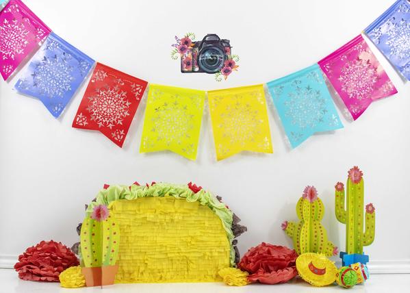Kate Taco-Thema mit buntem Flaggen-Hintergrund für die Fotografie entworfen von Leann West - Kate Backdrop.de